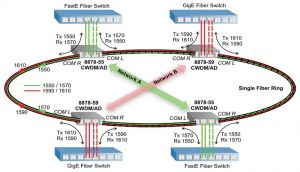 Two Networks on a Single-Fiber Protected Ring